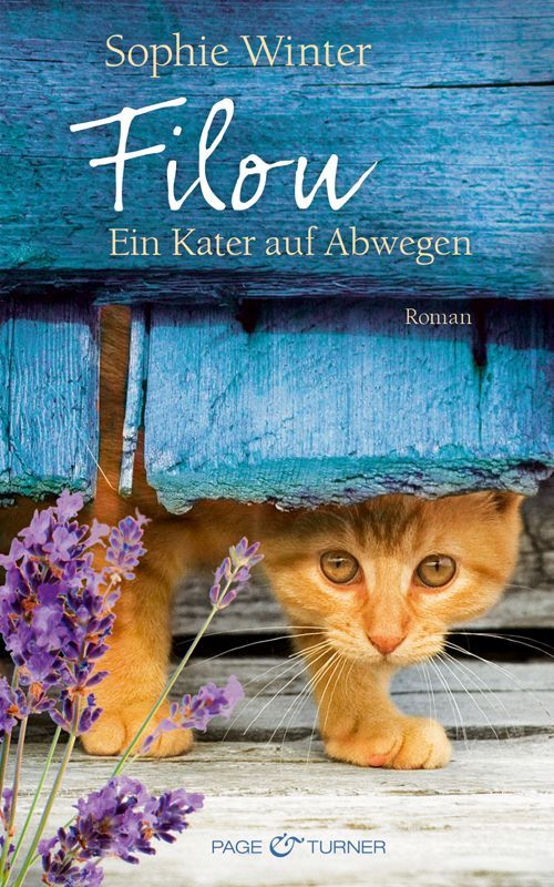 Filou - Ein Kater auf Abwegen