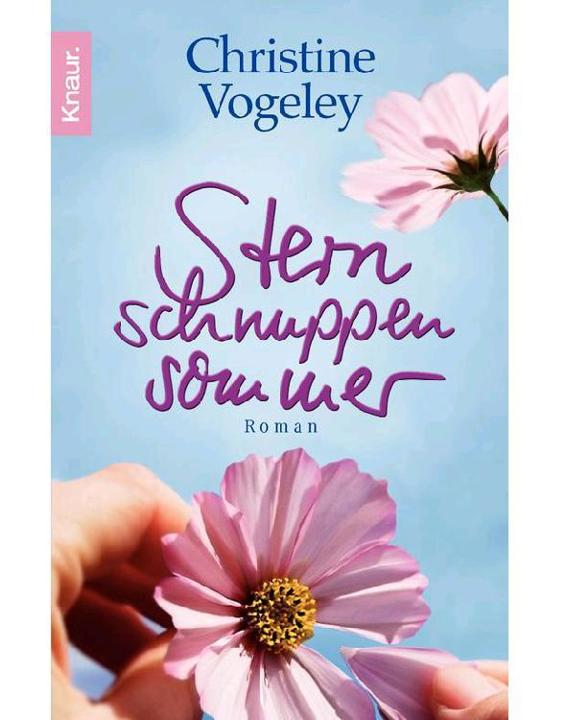 Sternschnuppensommer