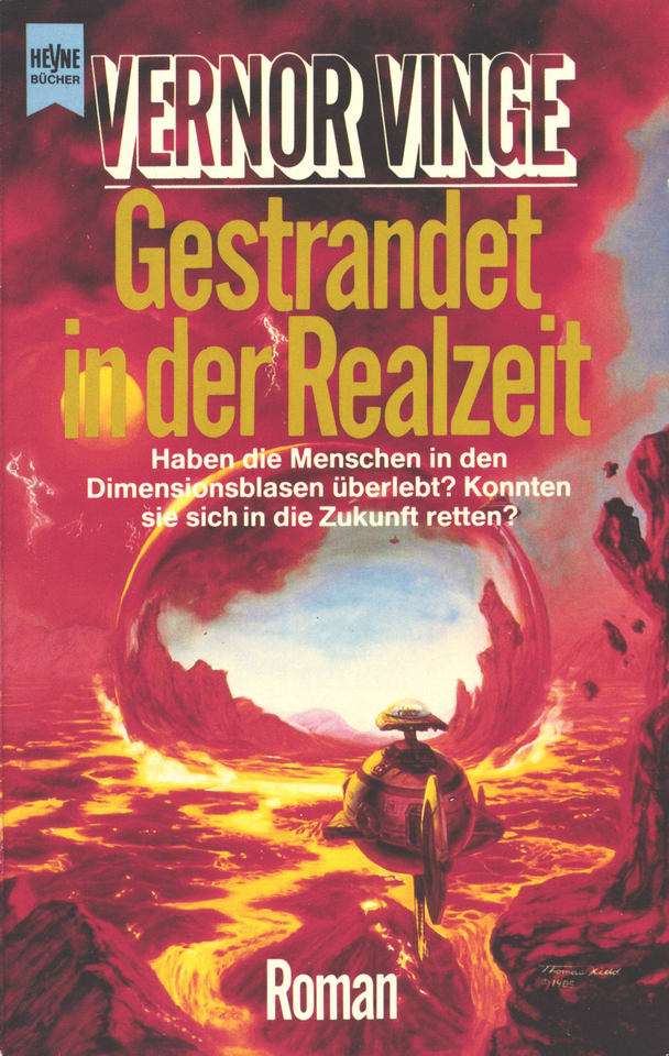 Gestrandet in der Realzeit: Roman