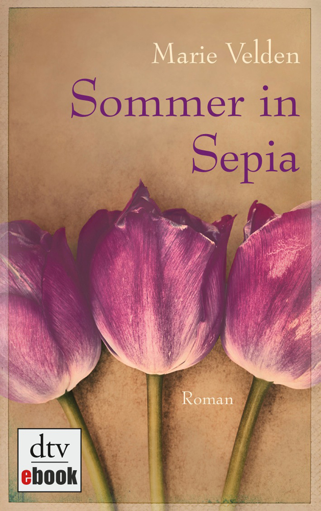 Sommer in Sepia: Roman