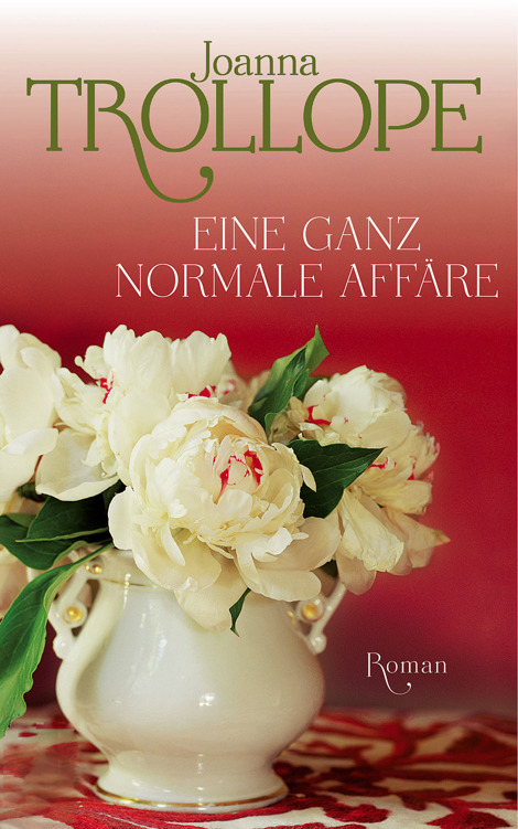 Eine ganz normale Affäre: Roman