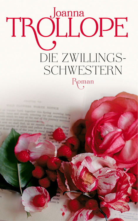 Die Zwillingsschwestern: Roman