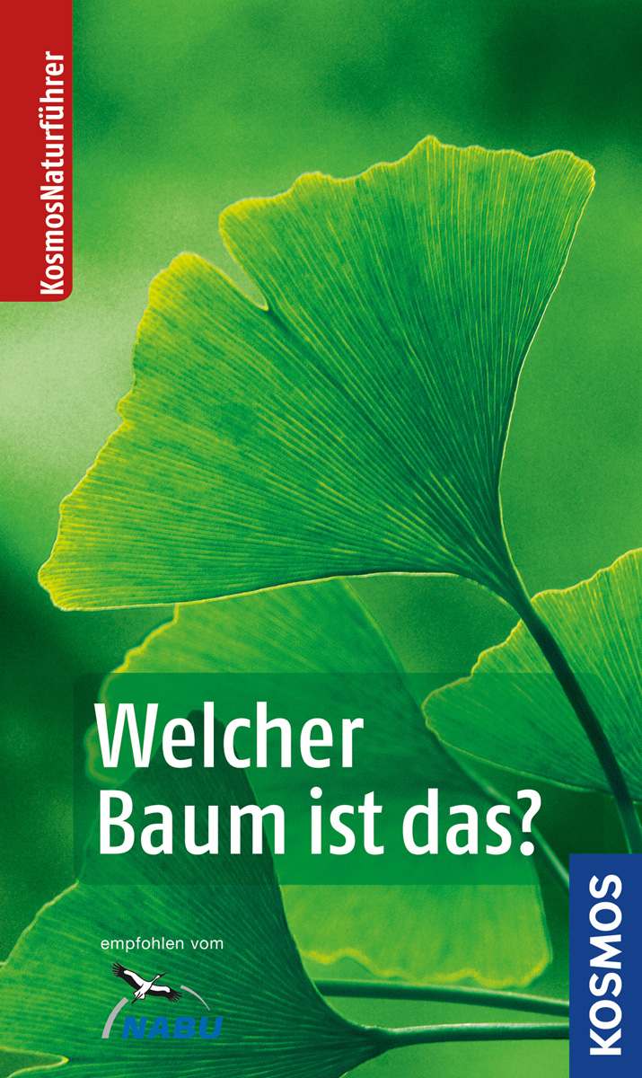 Welcher Baum ist das?