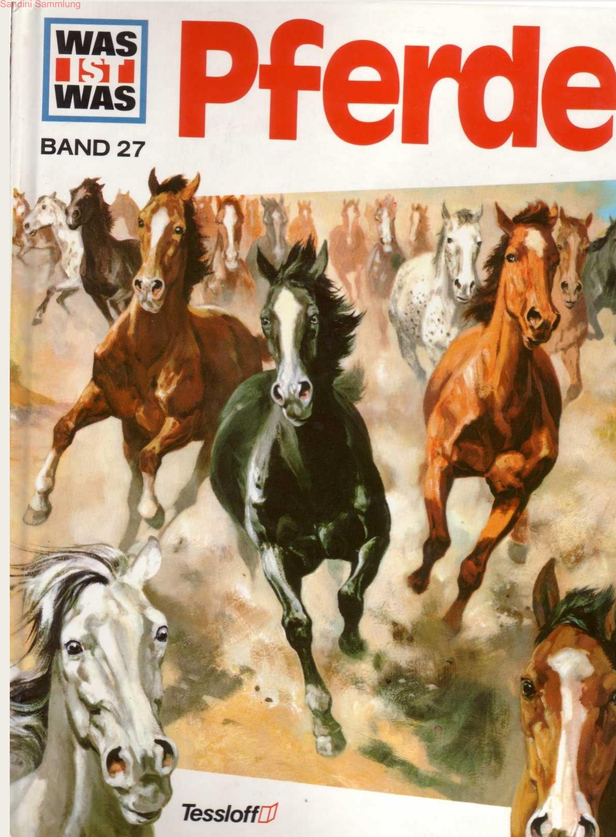 Was ist was - Pferde - Von frechen Fohlen und wilden Mustangs