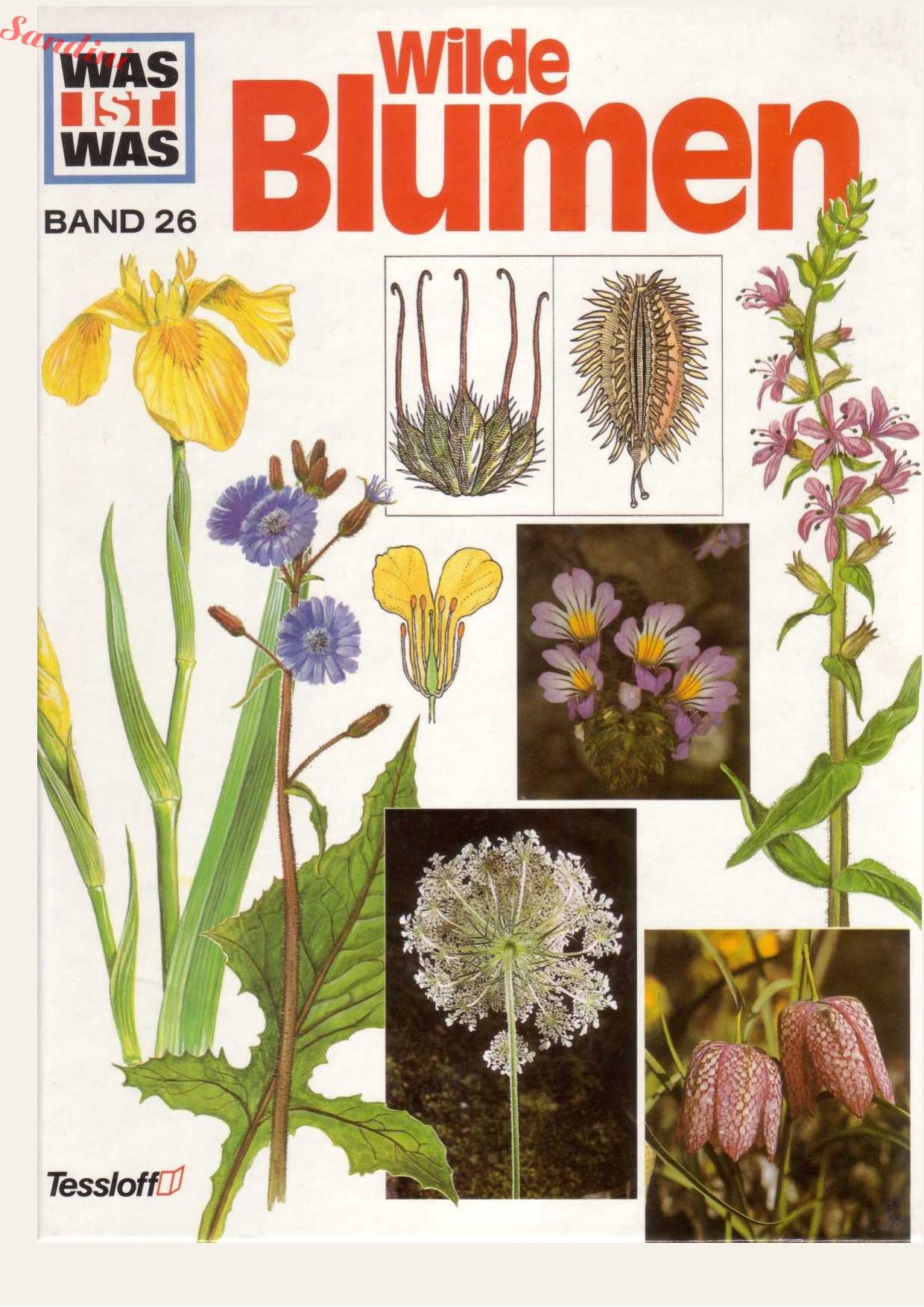 Was ist was - Wilde Blumen