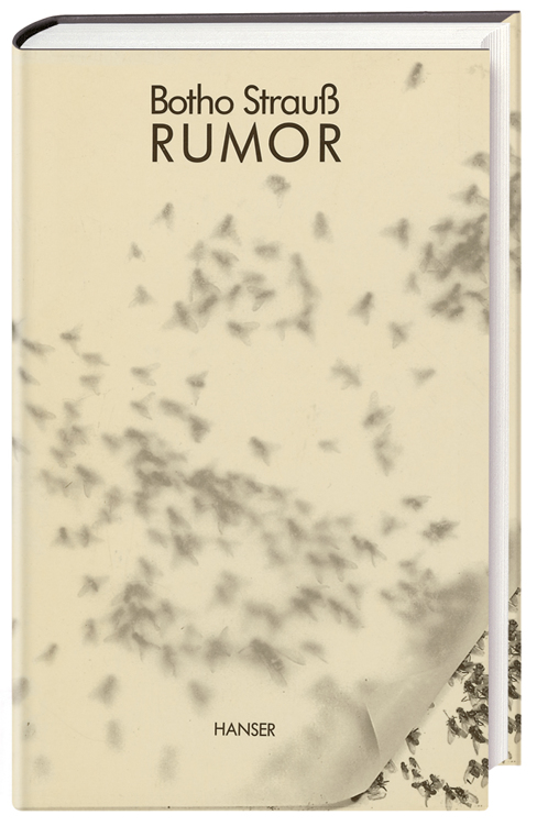 Rumor: Roman (dtv Fortsetzungsnummer 10)