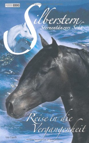 Silberstern Sternentaenzers Sohn 03- Reise in die Vergangenheit