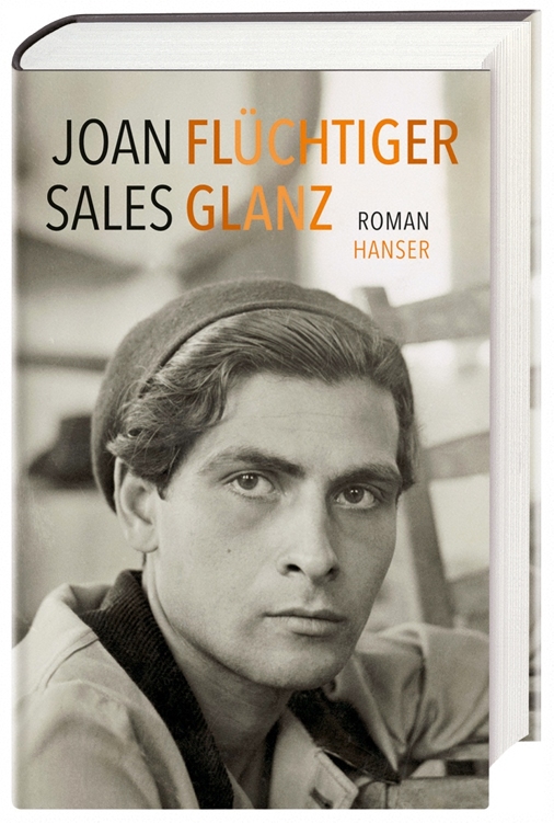 Flüchtiger Glanz: Roman