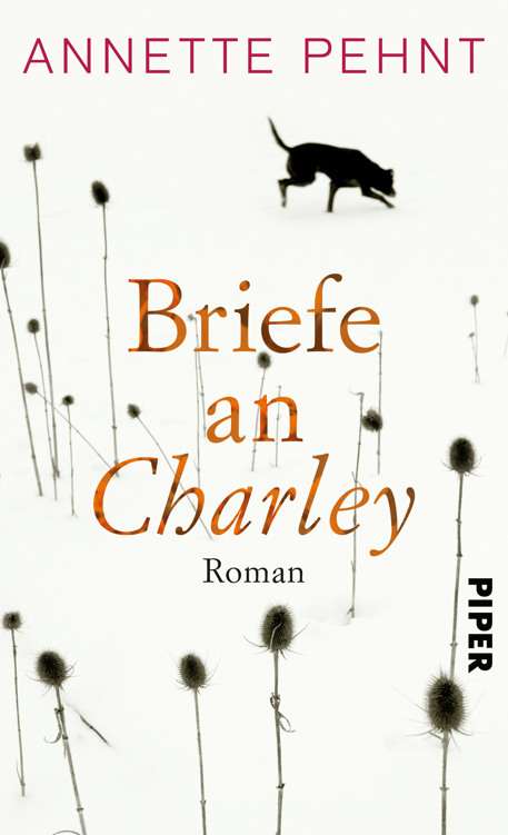 Briefe an Charley: Ein Roman