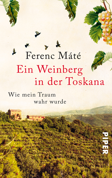 Ein Weinberg in der Toskana: Wie mein Traum wahr wurde