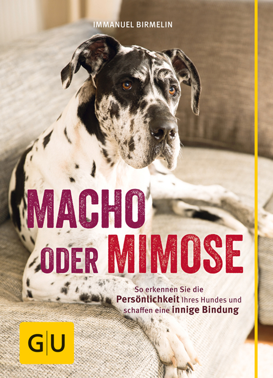 Macho oder Mimose: So erkennen Sie die Persönlichkeit Ihres Hundes und schaffen eine innige Bindung