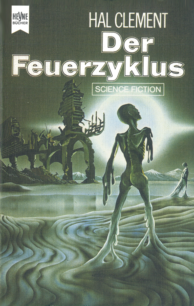 Der Feuerzyklus: Roman