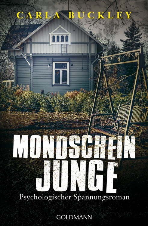 Mondscheinjunge: Psychologischer Spannungsroman