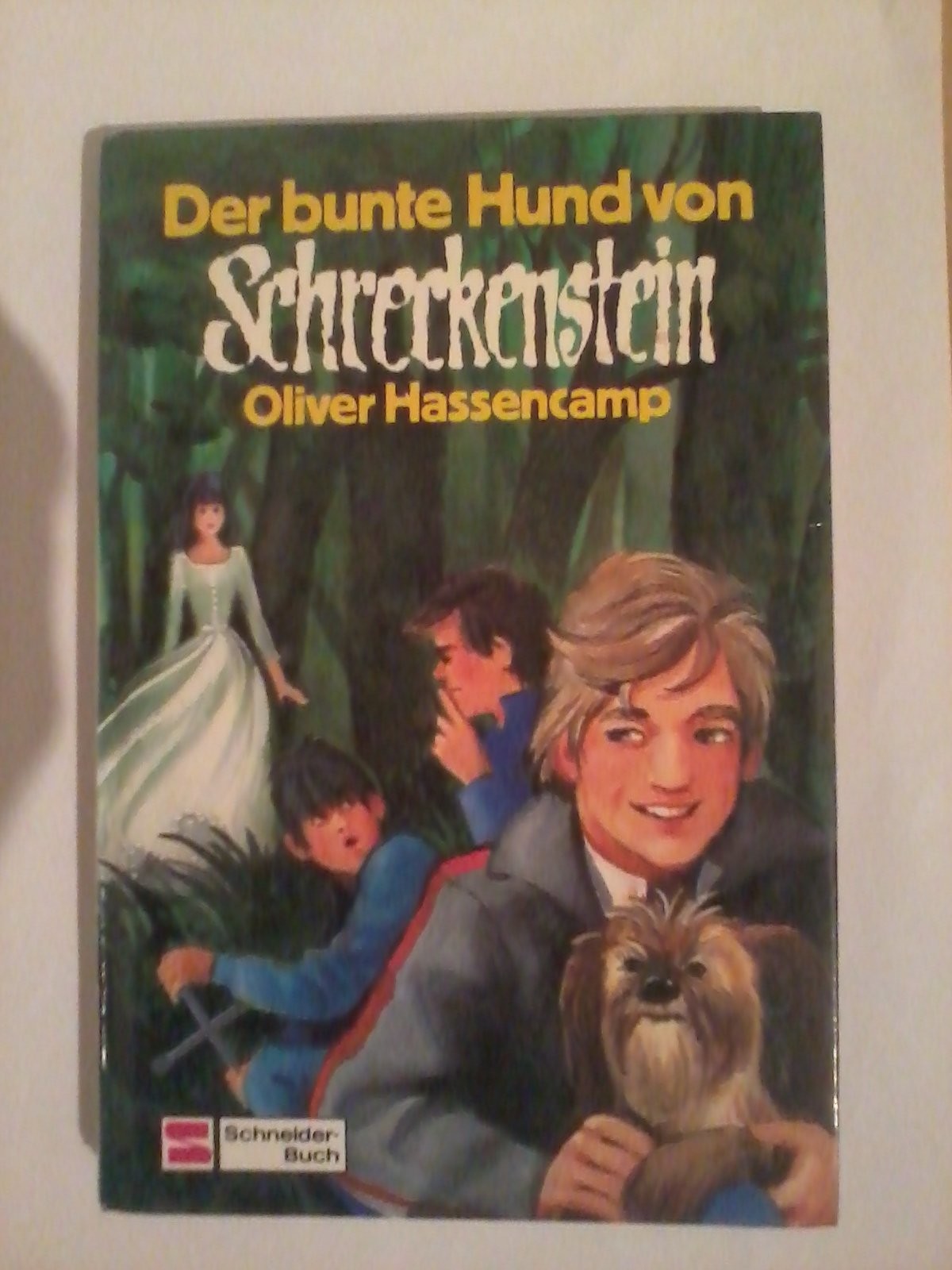 Der bunte Hund von Schreckenstein (Band 24)