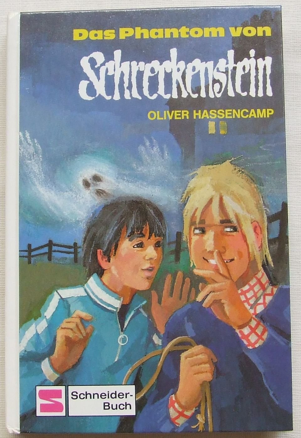 Das Phantom von Schreckenstein. Bd. 22