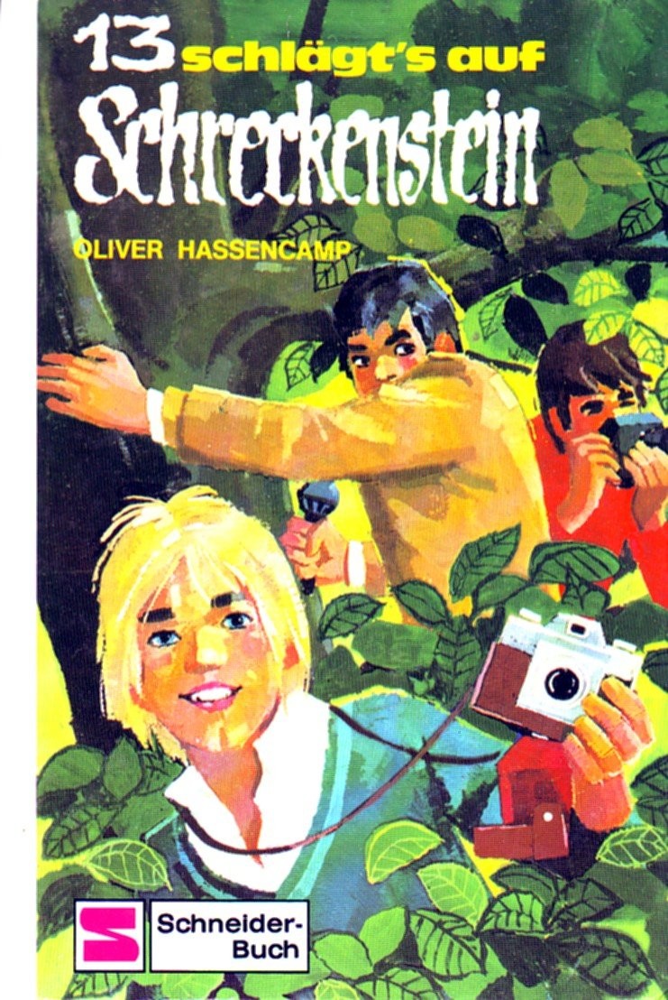 Dreizehn schlägt's auf Schreckenstein. Bd 13