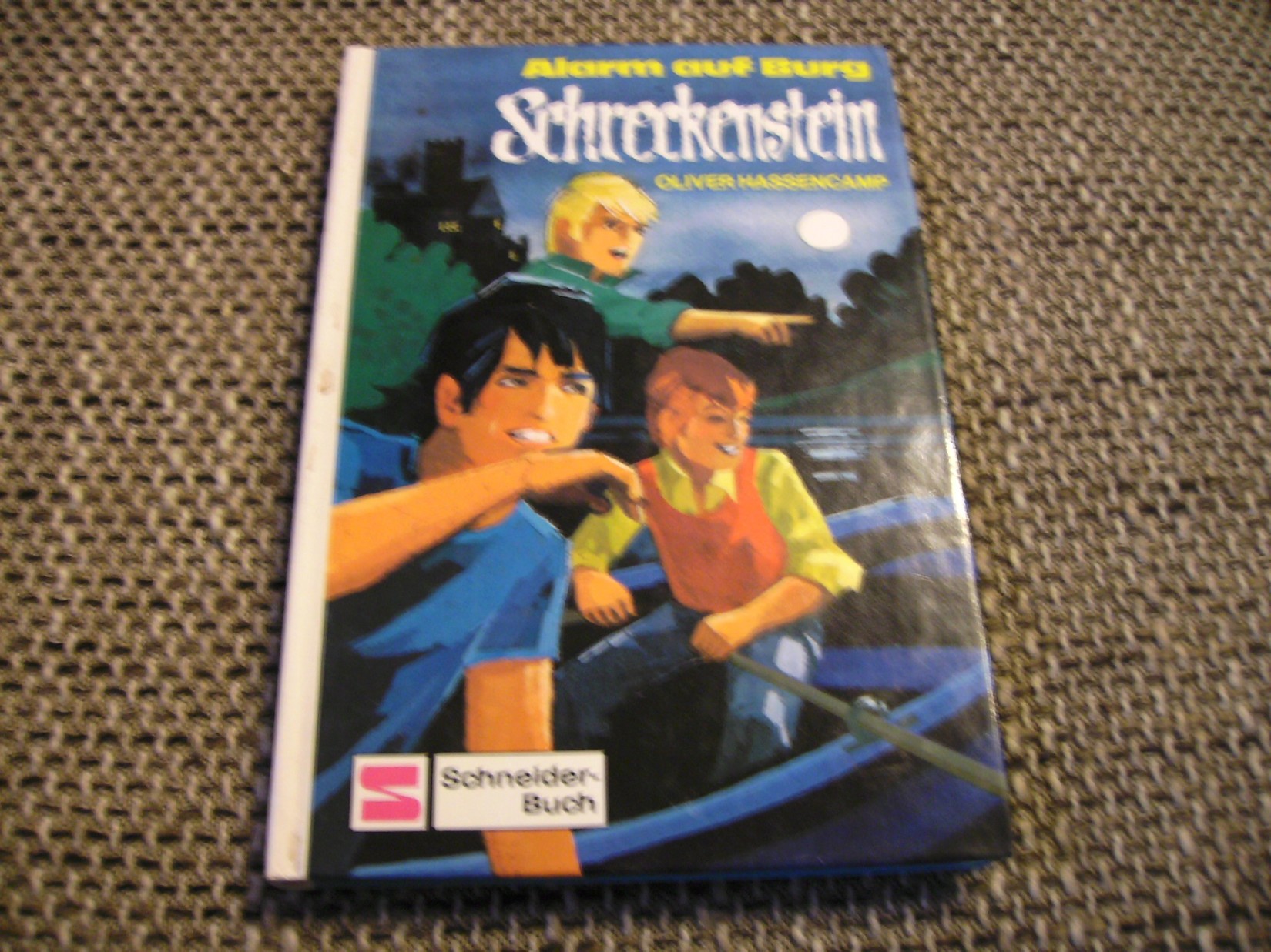 Alarm auf Burg Schreckenstein