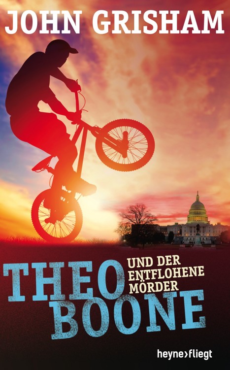 Theo Boone und der entflohene Mörder