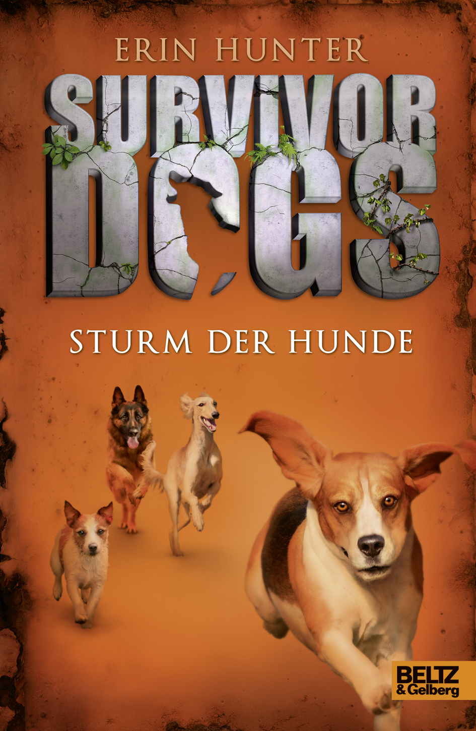 Sturm der Hunde