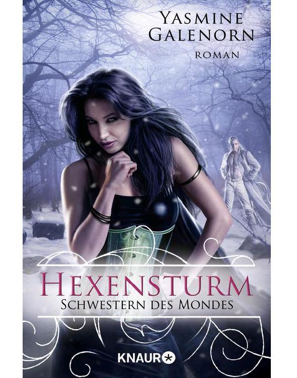 Schwestern des Mondes: Hexensturm: Roman