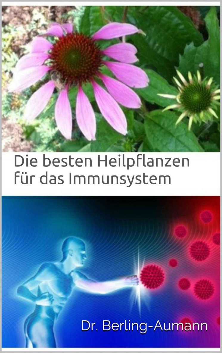 Die besten Heilpflanzen für das Immunsystem
