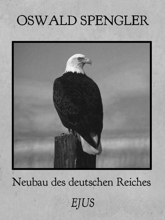 Neubau des deutschen Reiches (German Edition)