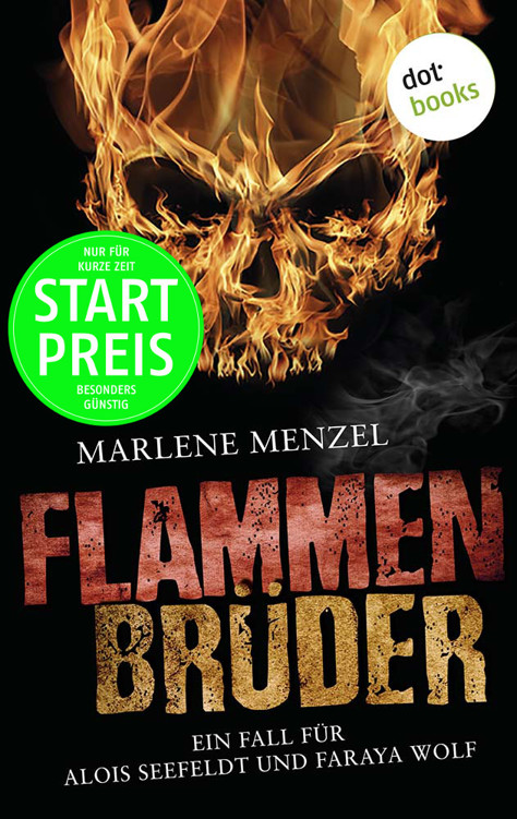 Flammenbrüder. Ein Fall für Alois Seefeldt und Faraya Wolf