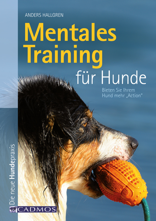 Mentales Training für Hunde