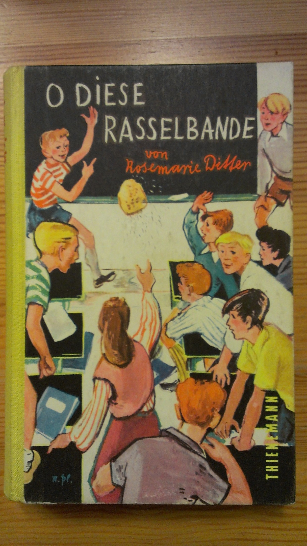 O diese Rasselbande!: 1 Mädchen und 24 Jungen