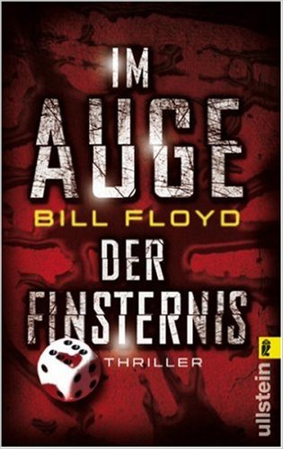 Im Auge der Finsternis: Thriller