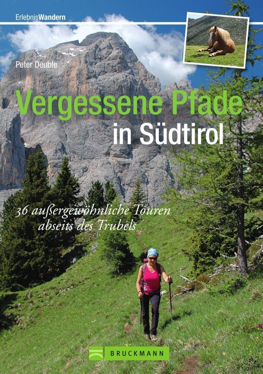 Vergessene Pfade in Südtirol: Der etwas andere Wanderführer mit 35 außergewöhnlichen Wanderwegen abseits des üblichen Trubels, mit Wandern im Vinschgau ... inkl. Wanderkarten (Erlebnis Bergsteigen)