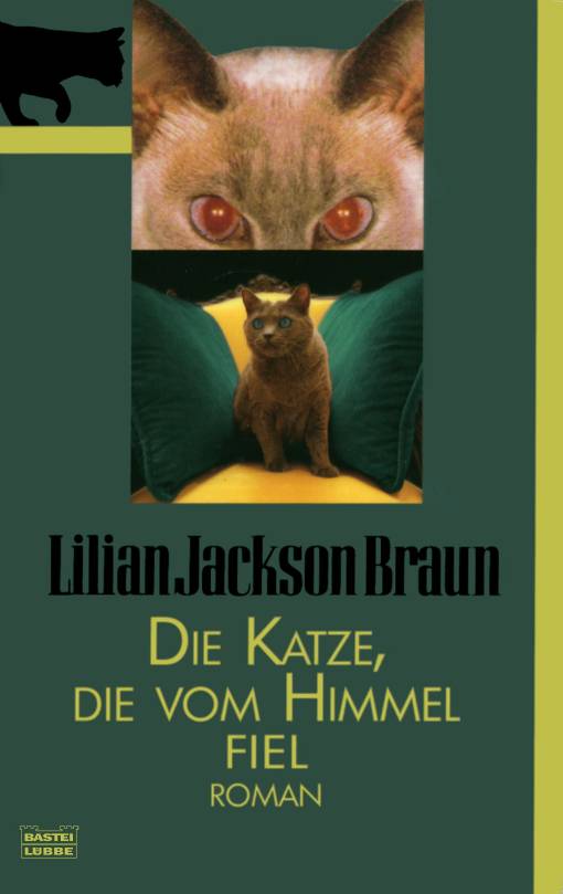 Die Katze, die vom Himmel fiel: Roman