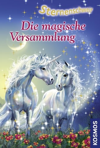 Sternenschweif, 17, Die magische Versammlung