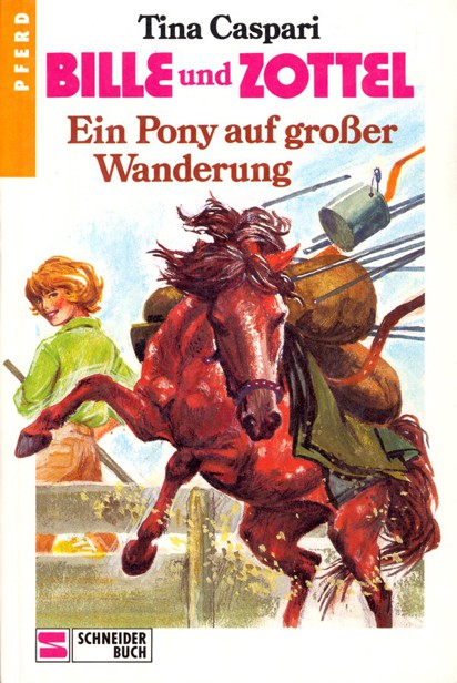 Ein Pony auf grosser Wanderung