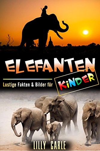 Elefanten: Lustige Fakten & Bilder für Kinder