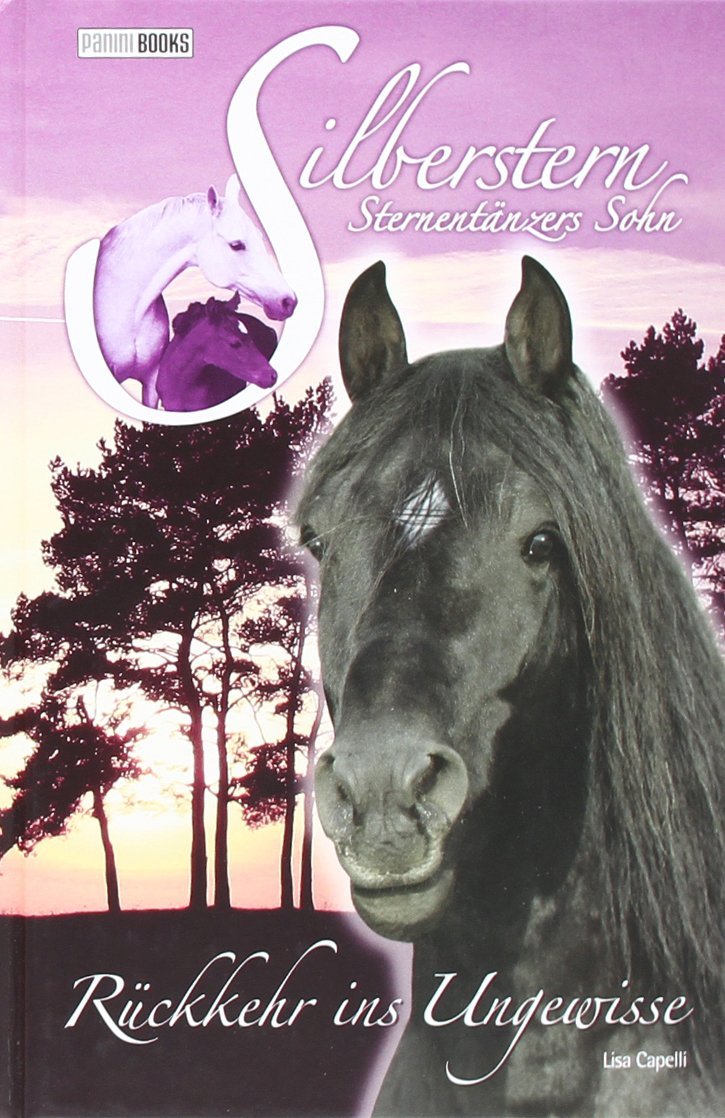 Silberstern Sternentaenzers Sohn 08 - Rueckkehr ins Ungewisse