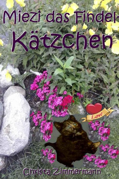Miezi das Findelkätzchen