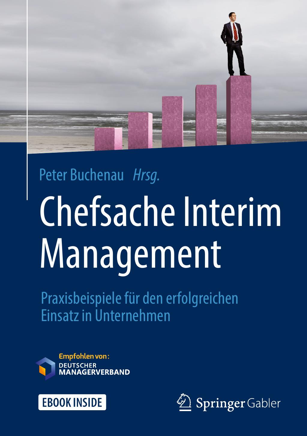 Chefsache Interim Management: Praxisbeispiele für den erfolgreichen Einsatz in Unternehmen