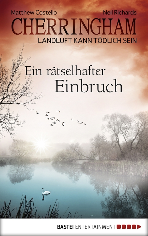 Ein rätselhafter Einbruch