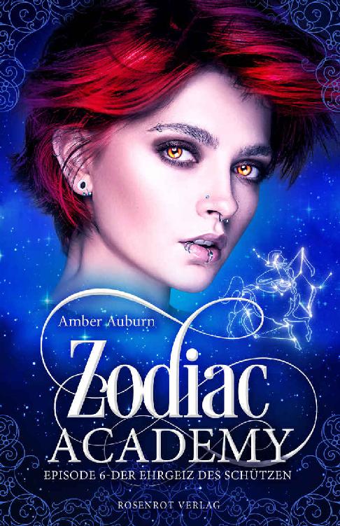 Der Ehrgeiz des Schützen