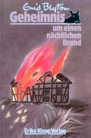 Geheimnis . . ., Bd.1, Geheimnis um einen nächtlichen Brand