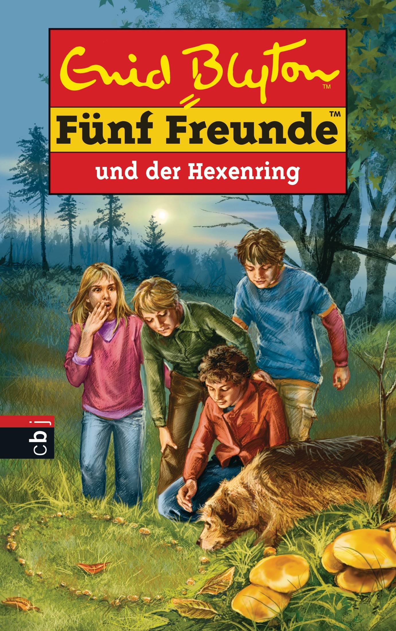 Fünf Freunde und der Hexenring: Band 53 (Einzelbände, Band 53)