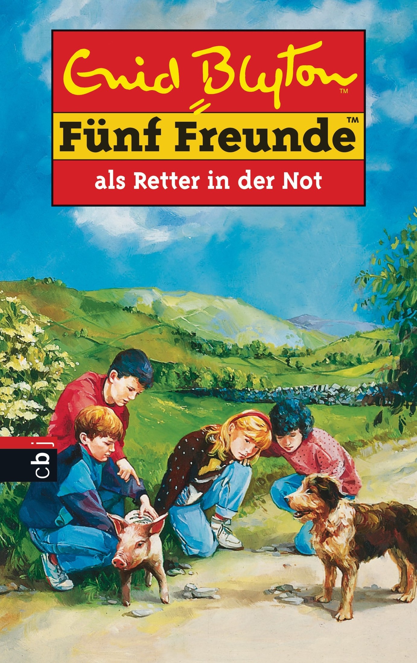 Fünf Freunde, Neubearb., Bd.11, Fünf Freunde als Retter in der Not (Einzelbände, Band 11)