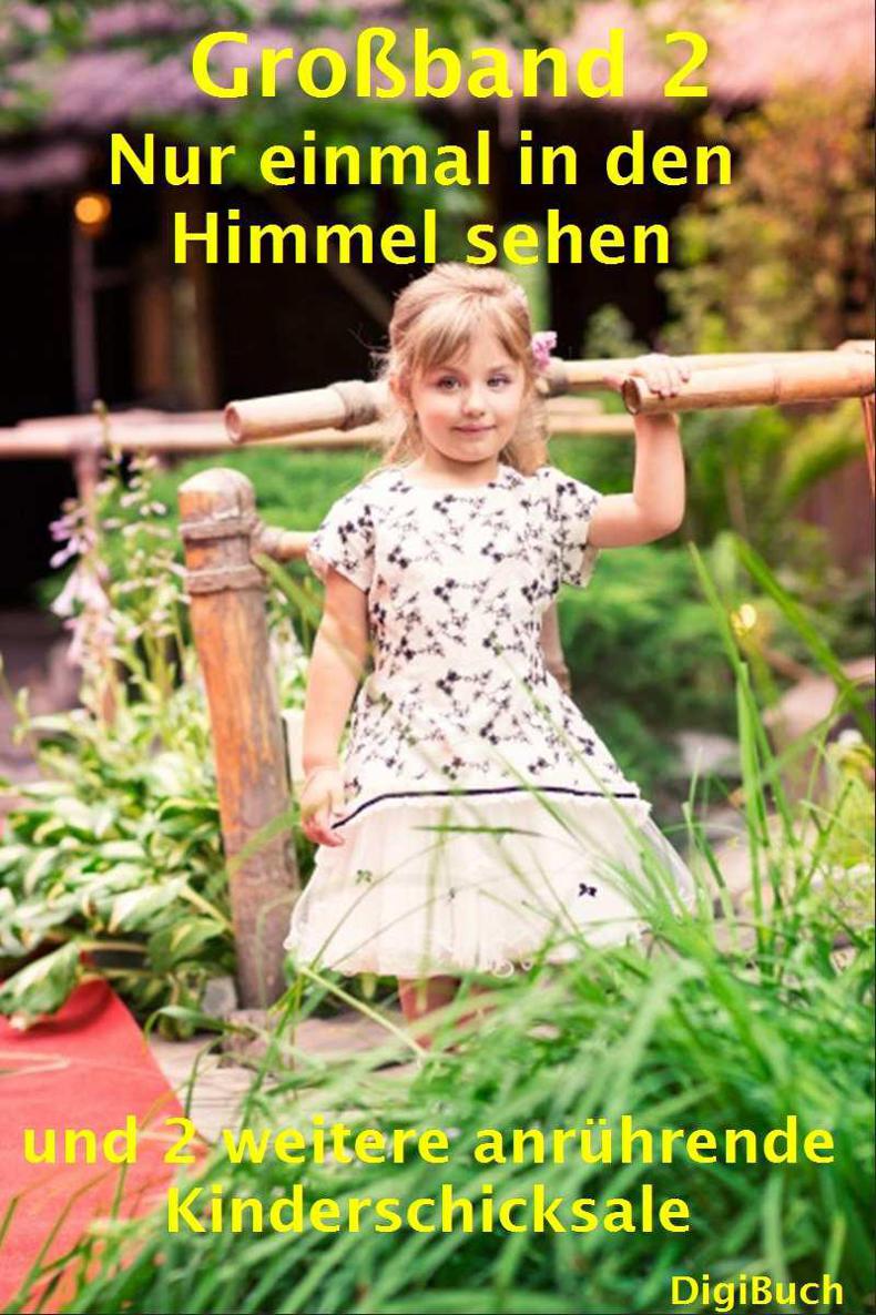 Großband 2 Nur einmal in den Himmel sehen (3 anrührende Kinderschicksale): Kinderschicksale (German Edition)