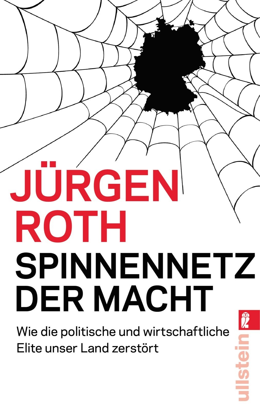 Spinnennetz der Macht: Wie die politische und wirtschaftliche Elite unser Land zerstört