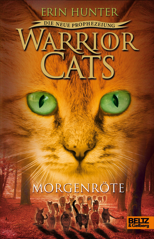 Warrior Cats - Morgenröte