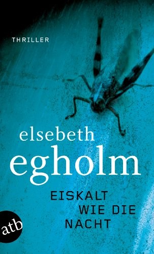 Eiskalt wie die Nacht: Thriller