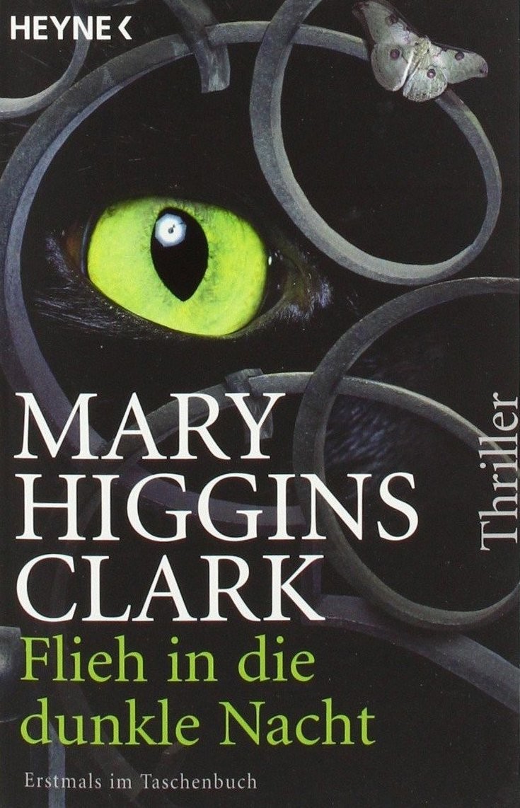 Flieh in die dunkle Nacht: Thriller
