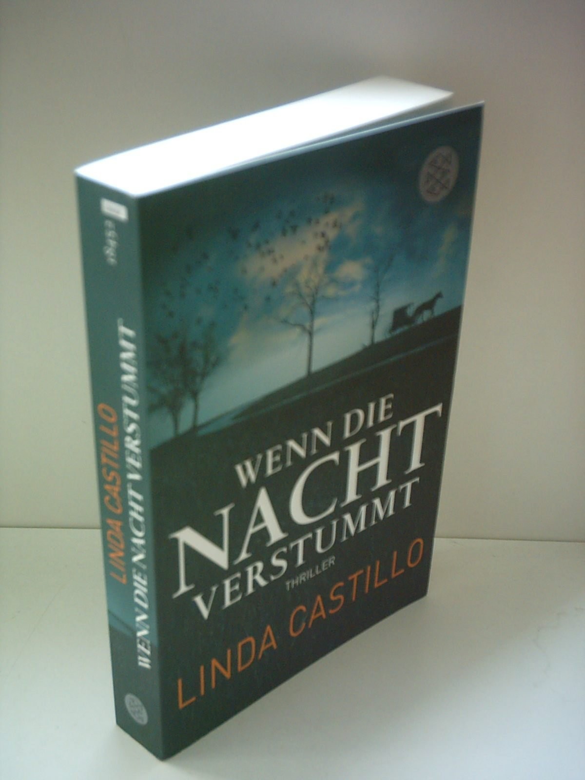 Linda Castillo: Wenn die Nacht verstummt