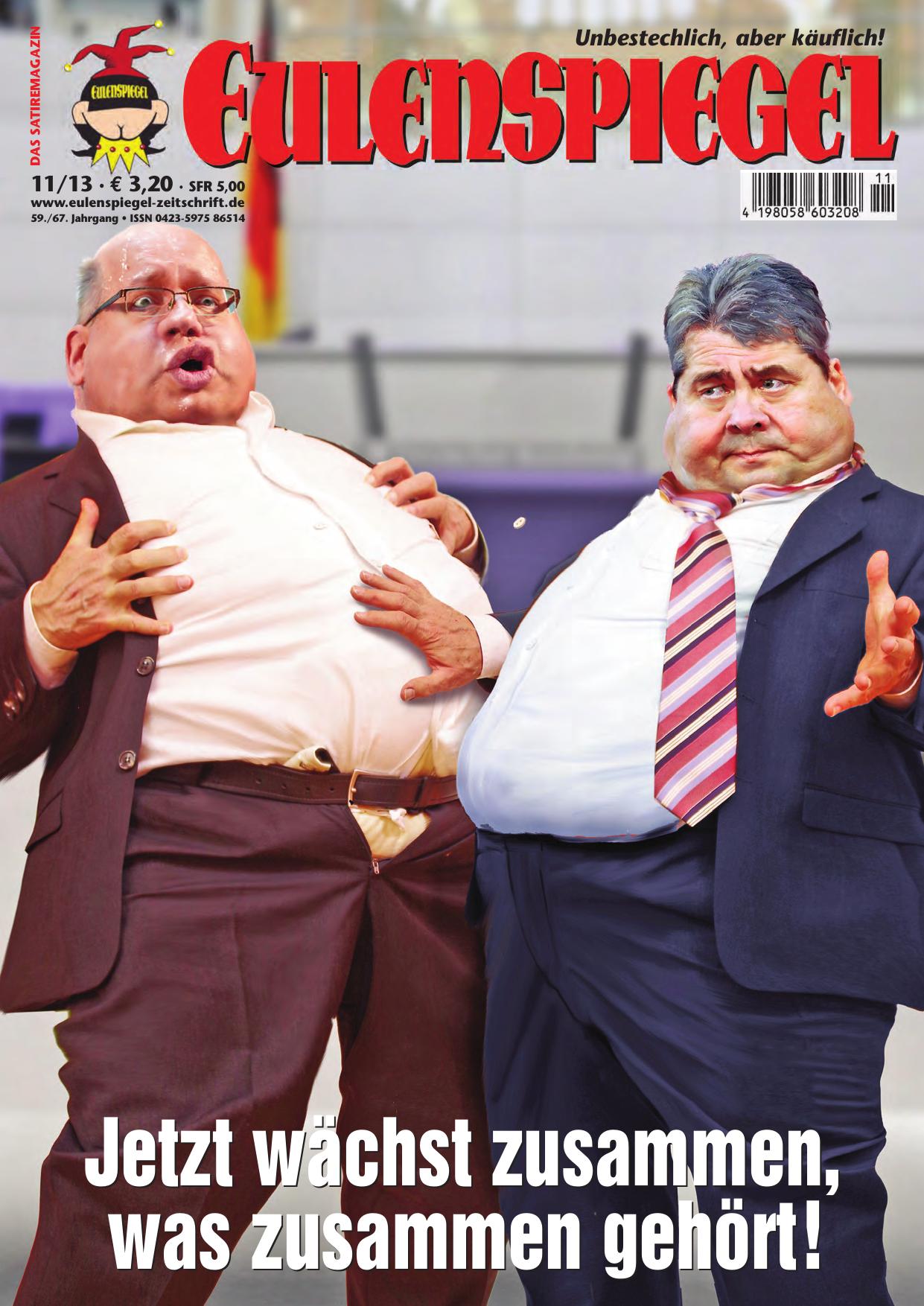 Eulenspiegel Nr. 11/2013